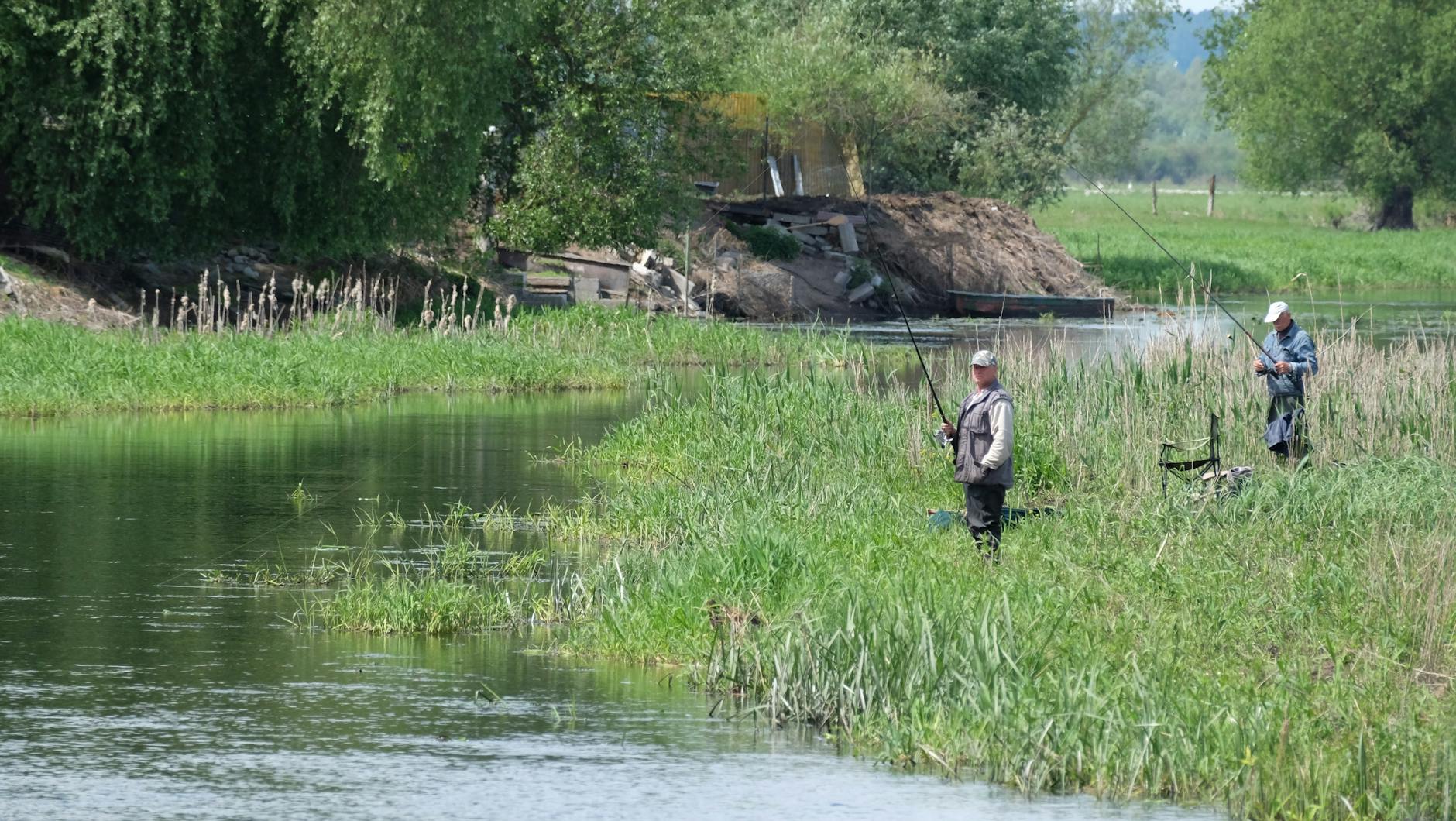 Jakie są najlepsze rośliny do uprawy na balkonie?