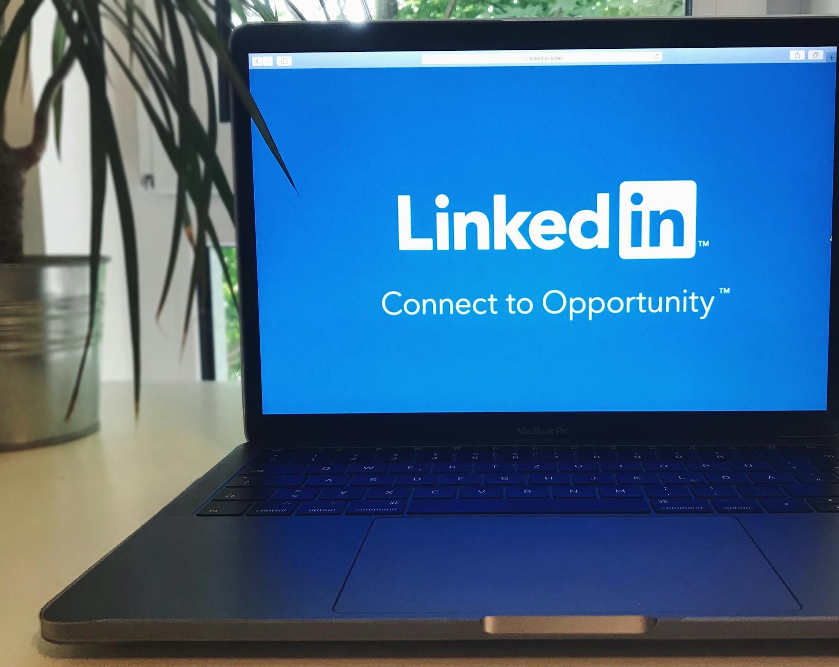 Jak prowadzić profil firmy na LinkedIn?